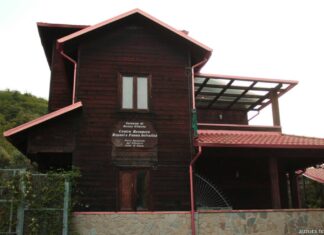 Il Centro Recupero e Riabilitazione Uccelli Rapaci Cilento a Sessa Cilento