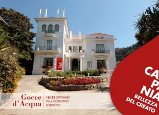 A Sorrento “Gocce d’Acqua”, la mostra di Giuseppe Ottaiano