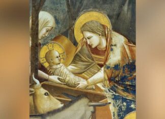 Il mio Presepe. Luigi Vassallo racconta