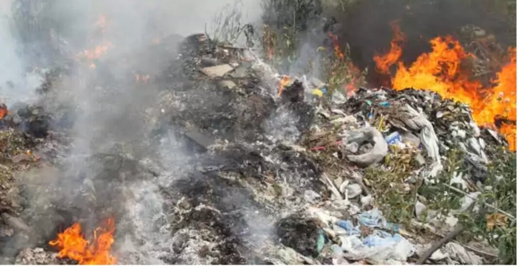 La Terra del disonore.