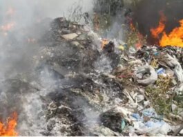 Terra dei Fuochi, tra roghi tossici e paura!