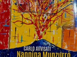 Nannina Munzurrò. Una Storia Vesuviana, di CARLO AVVISATI, Ed. MEA