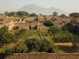 Quelli dell’orto