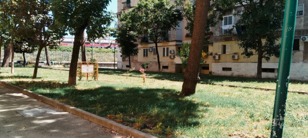 aiuole in rigenerazione_rione Luzzatti_Napoli (2)