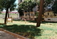 Napoli riparte dal patrimonio green