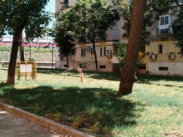 Napoli riparte dal patrimonio green