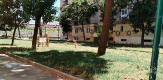 Napoli riparte dal patrimonio green