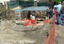 POMPEI – STORIE DI BUCHI E DI SINGOLARI CALCHI D’ANIMALI E SUPPELLETTILI (II parte)