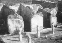 POMPEI – STORIE DI BUCHI E DI SINGOLARI CALCHI D’ANIMALI E SUPPELLETTILI (terza e ultima parte)